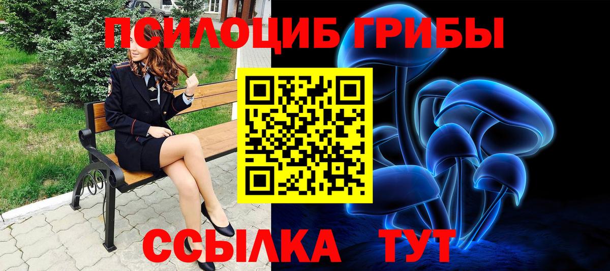 Галлюциногенные грибы MAGIC MUSHROOMS  Вход с VPN  Мытищи 