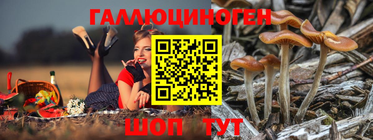 Галлюциногенные грибы MAGIC MUSHROOMS Мытищи
